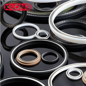 PTFE Peek Spring Enerġizzat Valve Seat Siġilli
